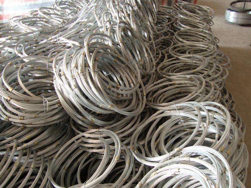 (bio)h(hun)ξW(wng)(du)